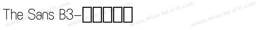 The Sans B3字体转换